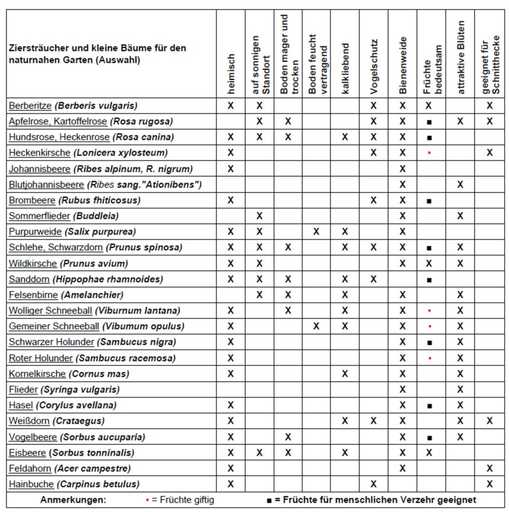 Tabelle Heckenpflanzen