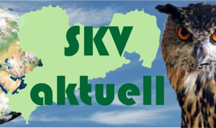 skv-aktuell