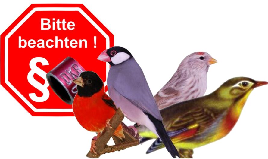 Artenschutz – Regeln – Pflichten