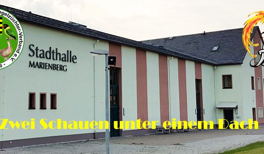 Große sächsische Vogelschau