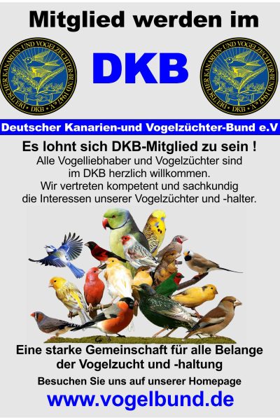 DKB-Mitgliederwerbung